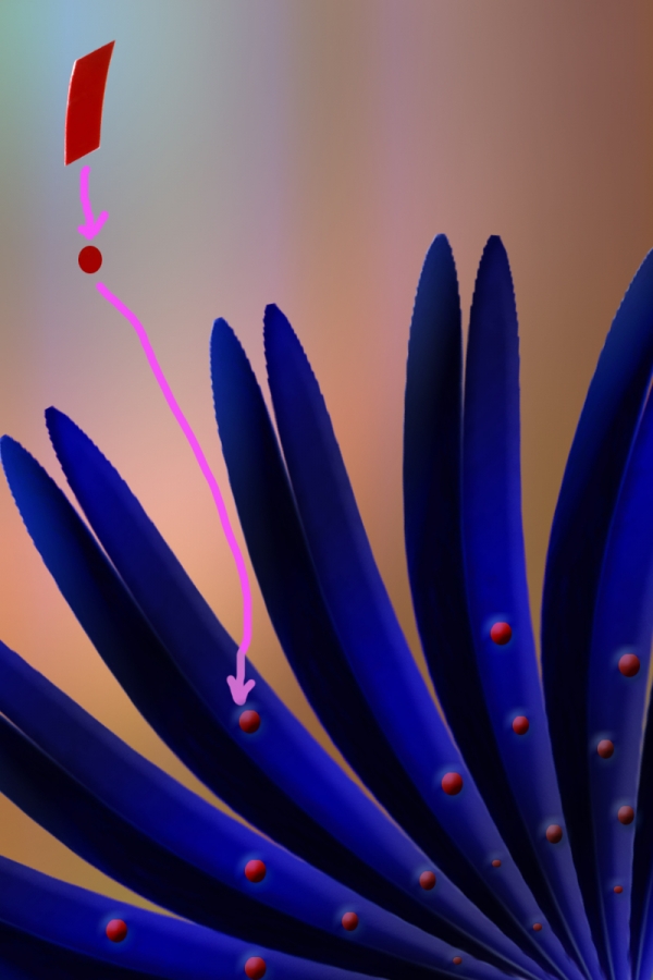 Creation of Blue Wings: Step 4